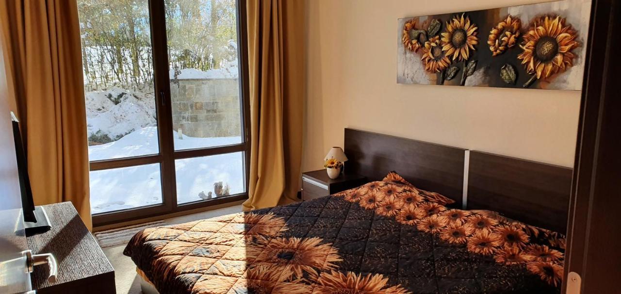 Terra Complex D4 - Private - Golf, Skiing & Daire Bansko